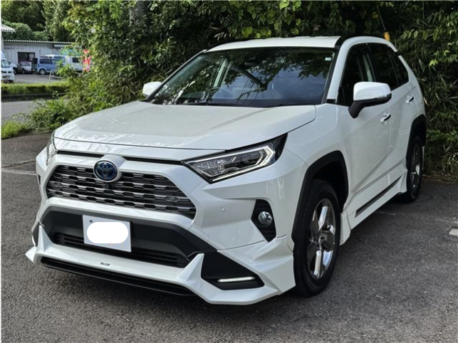 TOYOTA RAV4 2021