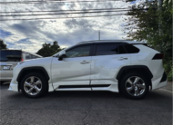 TOYOTA RAV4 2021