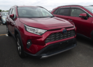 TOYOTA RAV4 2019