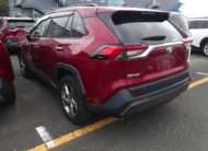 TOYOTA RAV4 2019