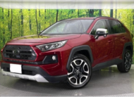 TOYOTA RAV4 2019