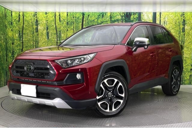 TOYOTA RAV4 2019