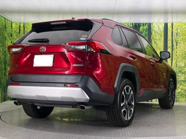 TOYOTA RAV4 2019