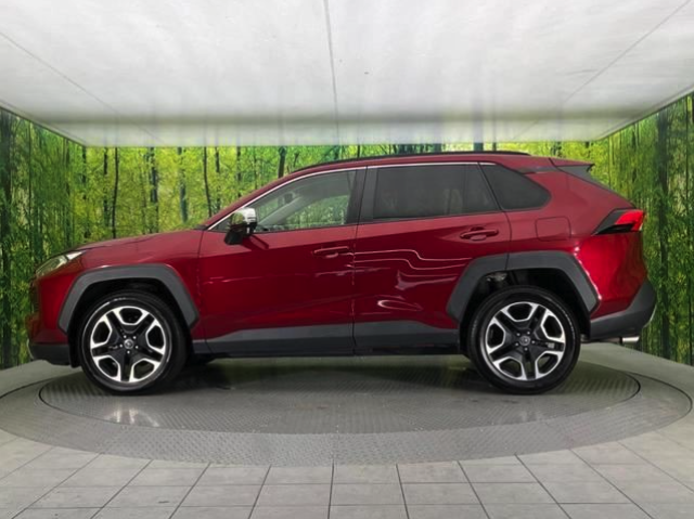 TOYOTA RAV4 2019