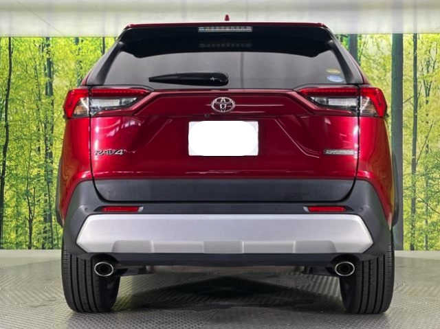TOYOTA RAV4 2019