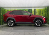 TOYOTA RAV4 2019