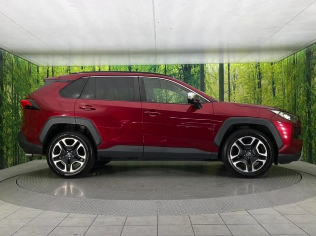 TOYOTA RAV4 2019