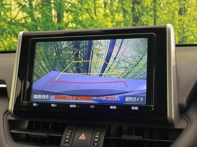 TOYOTA RAV4 2019