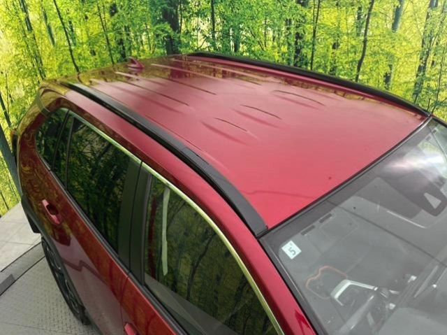 TOYOTA RAV4 2019