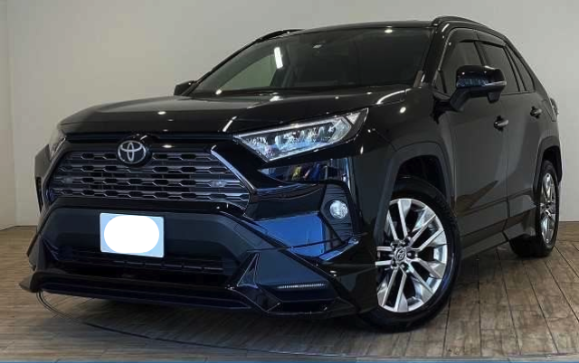 TOYOTA RAV4 2019