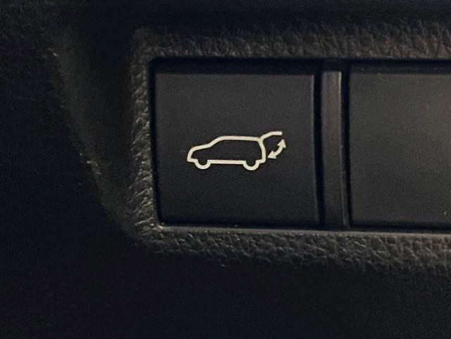 TOYOTA RAV4 2019