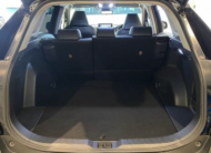 TOYOTA RAV4 2019