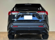 TOYOTA RAV4 2019