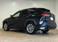 TOYOTA RAV4 2019