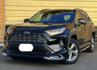 TOYOTA RAV4 2019