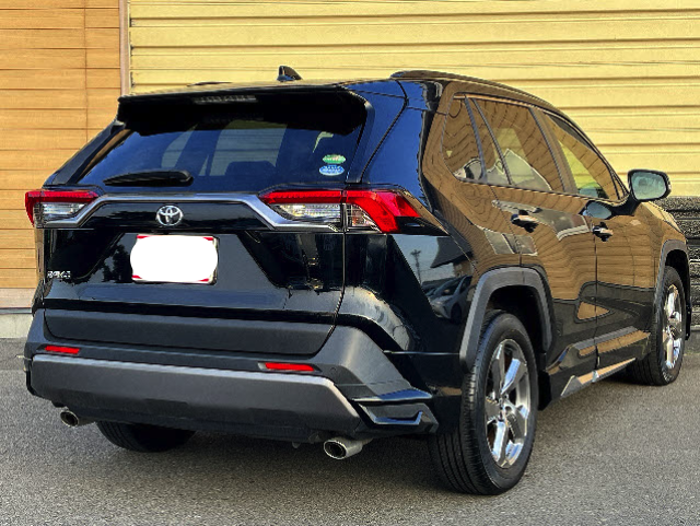TOYOTA RAV4 2019