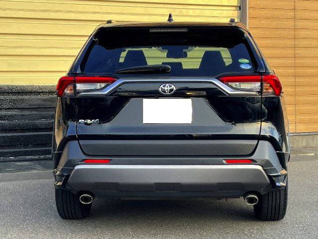 TOYOTA RAV4 2019