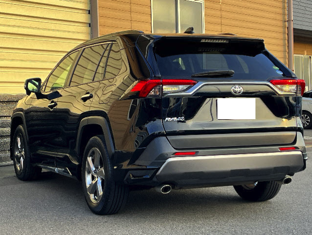 TOYOTA RAV4 2019