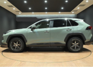 TOYOTA RAV4 2021