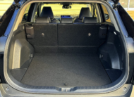 TOYOTA RAV4 2019
