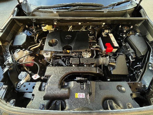TOYOTA RAV4 2019