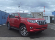 TOYOTA LANDCRUISER PRADO 2019