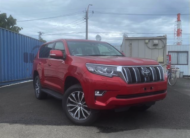 TOYOTA LANDCRUISER PRADO 2019