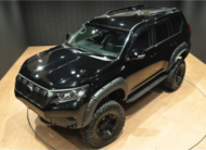 TOYOTA LANDCRUISER PRADO 2021