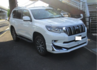 TOYOTA LANDCRUISER PRADO 2020