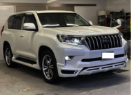 TOYOTA LANDCRUISER PRADO 2019