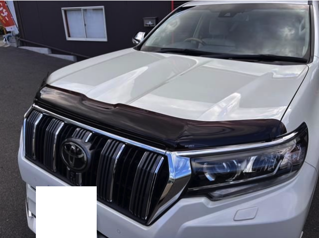 TOYOTA LANDCRUISER PRADO 2021